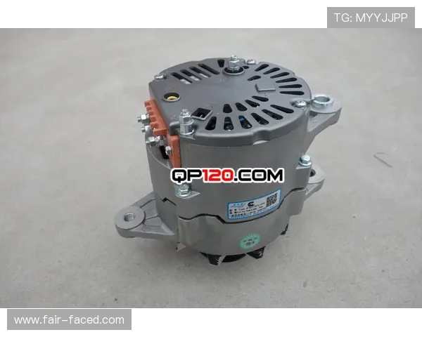 工程机械发电机调节器测量