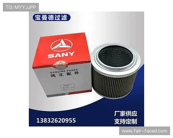 挖掘机吸油滤芯堵塞征兆